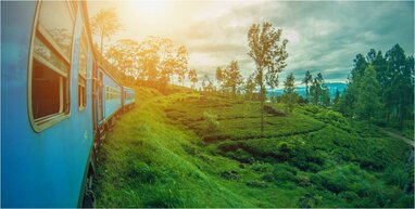 Green fields in Sri Lanka taken from a train.